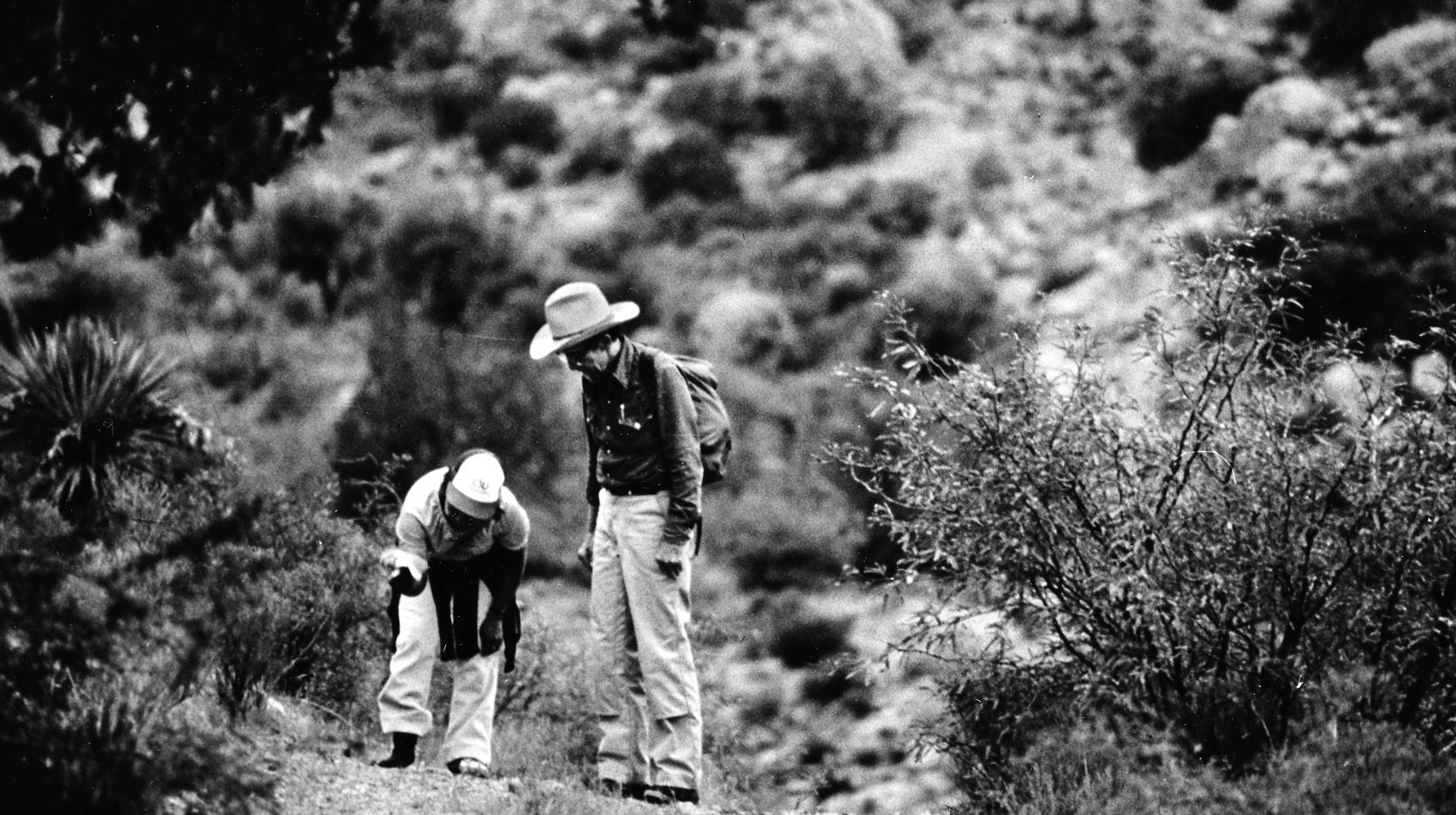 "Road to Refuge" special report in 1984